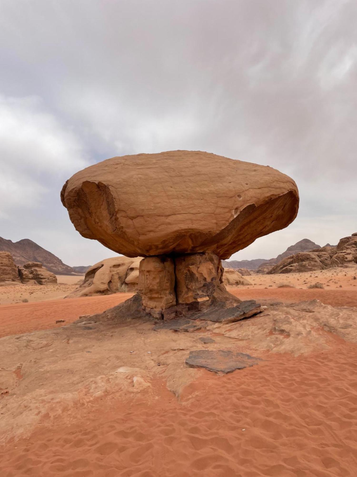 Wadi Rum Trip Eksteriør billede